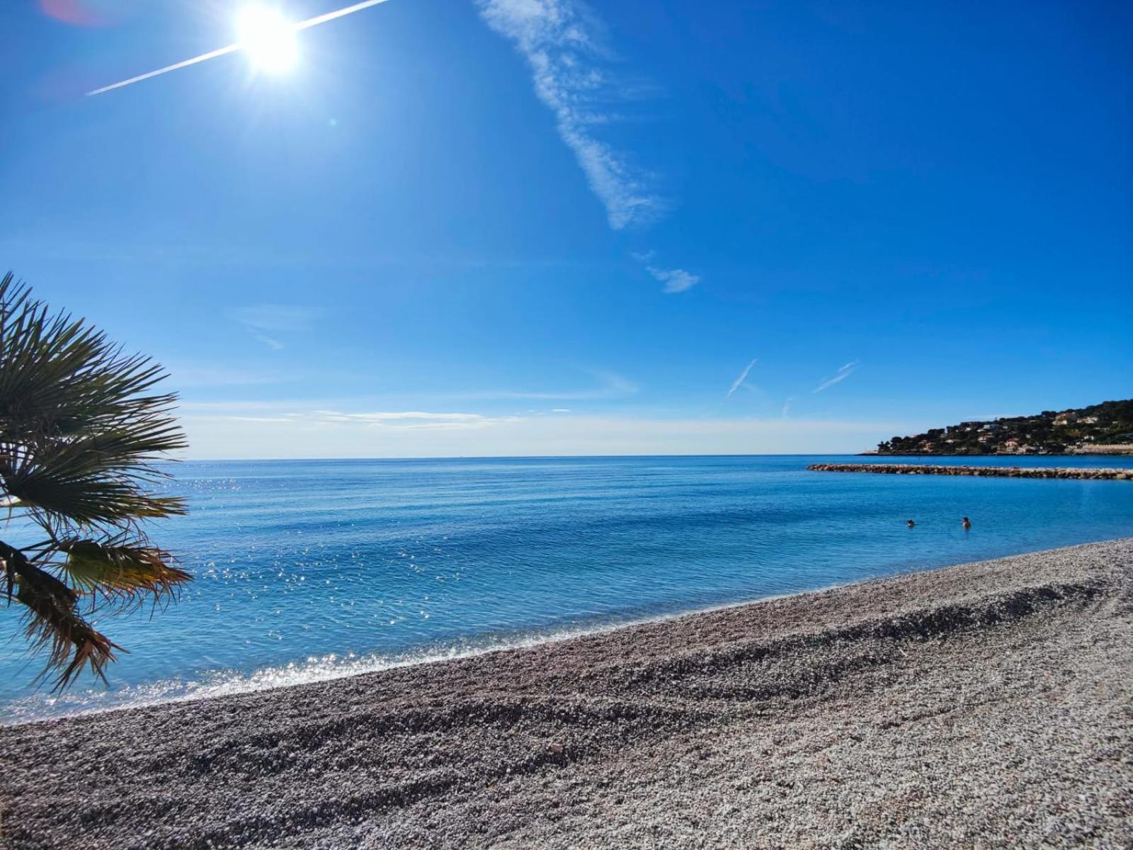 Apartment Le Coq Eden - Air Conditioning - Seafront
